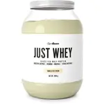 GymBeam JUST WHEY 1000 G VANILKOVÁ ZMRZLINA Protein, , velikost 1 KG