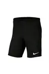 Nike Dri-Fit Men's šortky