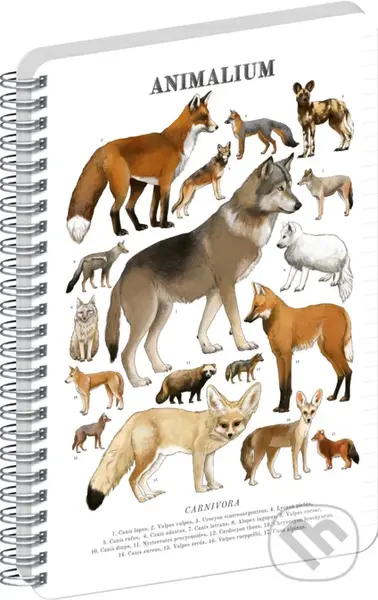 NOTIQUE Špirálový blok Animalium – Psovité šelmy