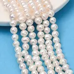 Natural Cultured Freshwater Pearl Beads Strands