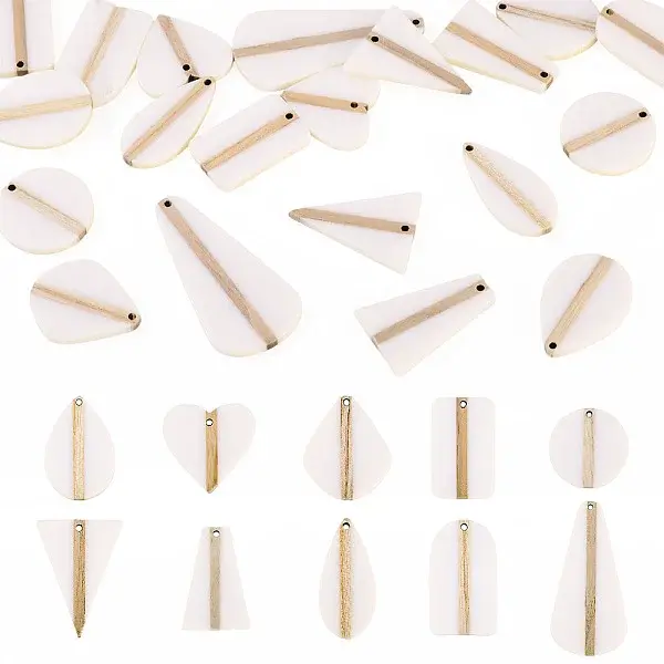 20Pcs 10 Styles Opaque Resin & Wood Pendants Sets