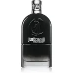Roberto Cavalli Just Cavalli Wild Heart toaletní voda pro muže 90 ml