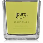 ipuro Essentials Lime Light vonná svíčka 125 g