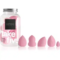 Gabriella Salvete Tools Take Five sada houbiček na make-up odstín Pink