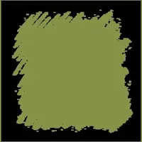 Pastel Conté á Paris – 016 Olive Green