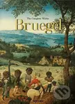 Bruegel (The Complete Works) - Jürgen Müller - kniha z kategorie Malířství a sochařství