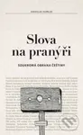 Slova na pranýři (Soukromá obrana češtiny) - Jaroslav Hořejší