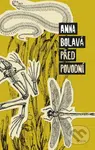 Před povodní - Anna Bolavá - kniha z kategorie Společenská beletrie