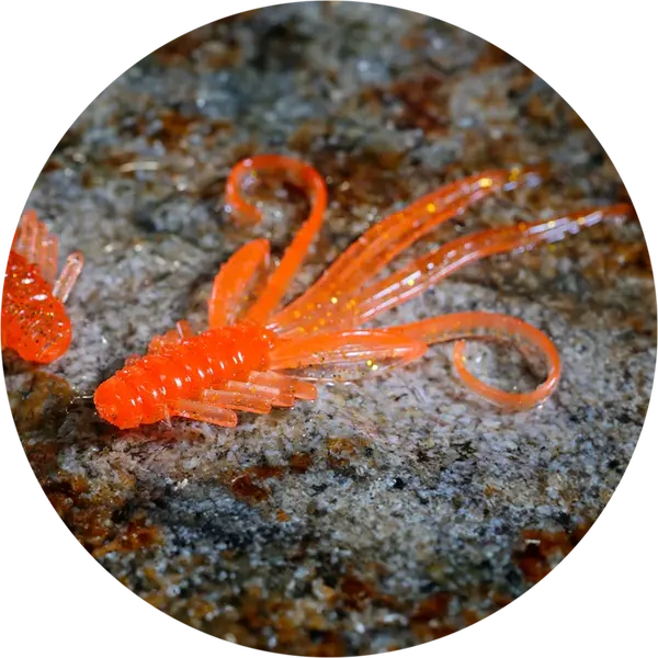 Redbass gumová nástraha nymfa orange g - x 100 mm uv