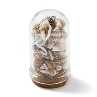 Glass Dome Bottle Display Decorations