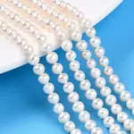 Natural Cultured Freshwater Pearl Beads Strands