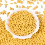 Opaque Colours Glass Seed Beads