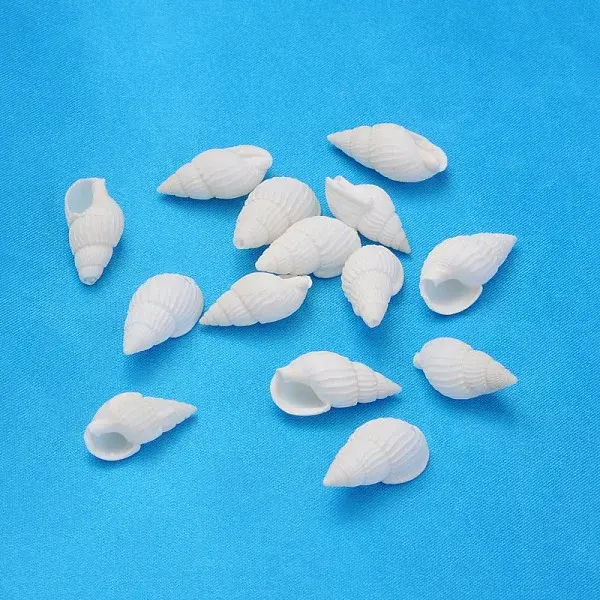 Natural Trumpet Shell Beads