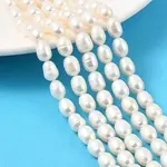 Natural Cultured Freshwater Pearl Beads Strands