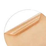 Acrylic Transparent Pressure Plate