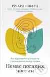 Nemaie pohanykh chastyn. Yak vidnovyty tsilisnist i vylikuvatysia vid travm - kniha z kategorie Psychologie