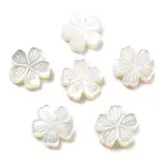Natural White Shell Carved Beads