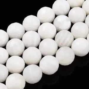 Natural White Shell Beads Strands
