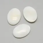 Freshwater Shell Cabochons