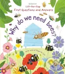 First Questions and Answers: Why do we need bees? - Katie Daynes - kniha z kategorie Pro děti