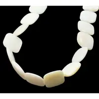 Natural Shell Beads Strands
