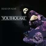 Dead Or Alive: Youthquake LP - Dead Or Alive