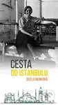Cesta do Istanbulu - Gizela Munková - kniha z kategorie Životopisy