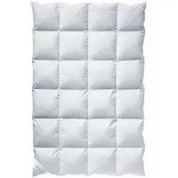 Billerbeck PÉŘOVÁ PŘIKRÝVKA, 135/200 cm, peří, prachové peří