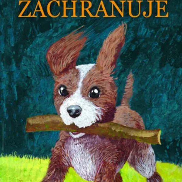 Lumpík zachraňuje (Defekt) - Otilie K. Grezlová