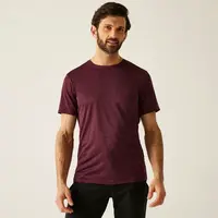 Pánské tričko regatta fingal editon vínová l