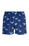 Chlapecké koupací šortky 6f418 litex 146