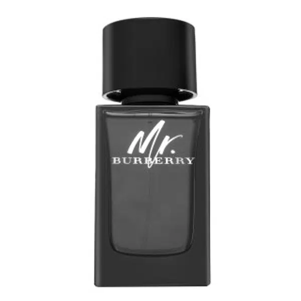 Burberry Mr. Burberry parfémovaná voda pre mužov 100 ml