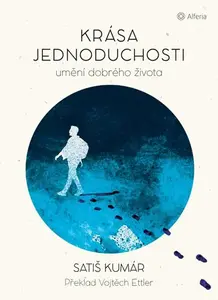 E-kniha: Krása jednoduchosti od Kumár Satiš