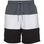 Russell Athletic SHORTS Pánské šortky, tmavě šedá, velikost