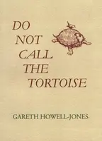 Do Not Call the Tortoise - Gareth Howell-Jones