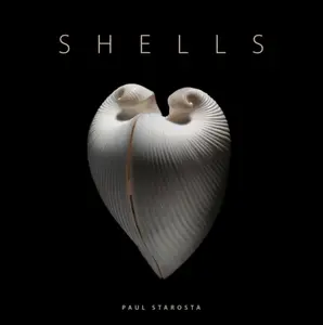 Shells - Paolo Portoghesi