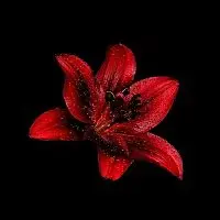 Vercitti Muzik – This Is How It Feels