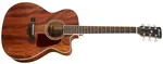 Ibanez AC340CE Natural