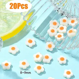 Natural Freshwater Shell Beads with Enamel