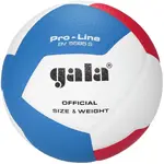 GALA BV5585 PRO-LINE 12 Volejbalový míč, bílá, velikost