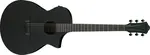 Ibanez AEWC621 Black Out