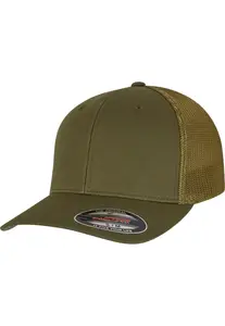 Flexfit Čiapka  sivá / zelená