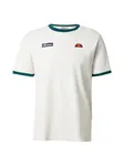 ELLESSE Tričko 'Ringetto'  zelená / biela