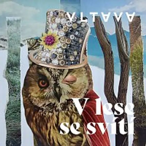 Vltava – V lese se svítí