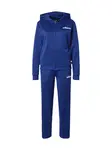 ADIDAS SPORTSWEAR Tréningový komplet 'Essentials'  modrá