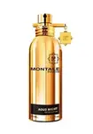 Montale Aoud Night - EDP 50 ml