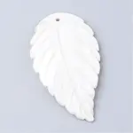 Freshwater Shell Big Pendants