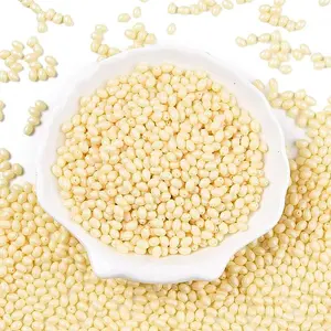 Baking Paint Glass Seed Beads