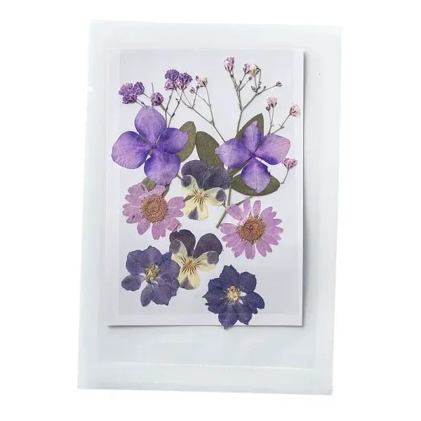 Pressed Dried Flowers