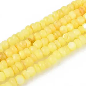 Natural Freshwater Shell Dyed Beads Strands